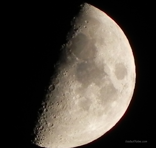 moon-photo-by-l-buffaloe