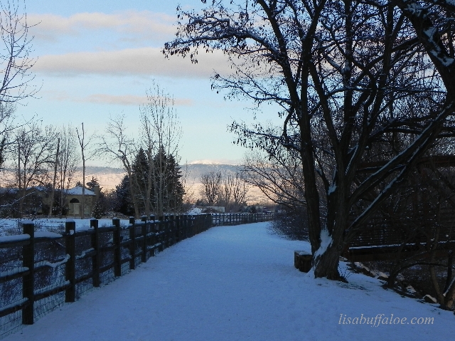 Snowy trail by Lisa Buffaloe